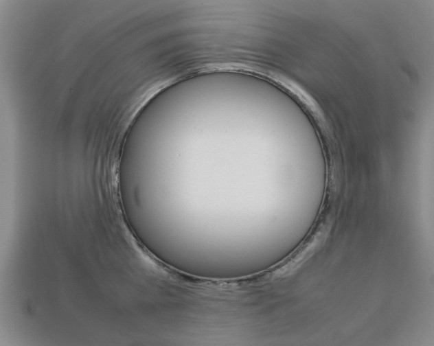 X0000113780809200909231040