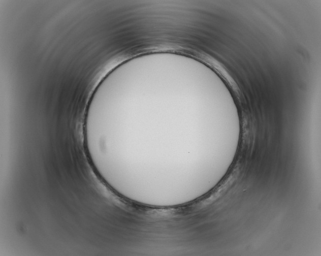 X0000113780810200909231040