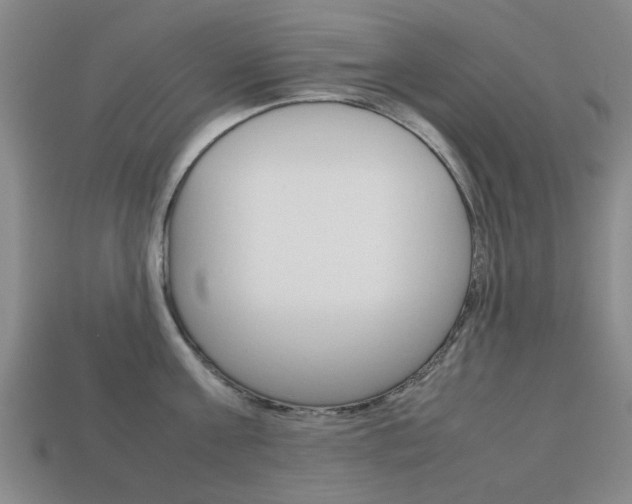 X0000113780811200909231040