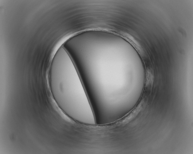 X0000113780812200909231040