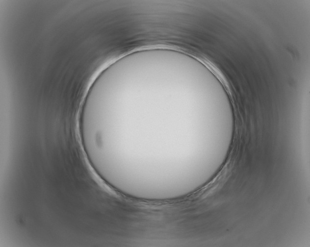 X0000113780813200909231040