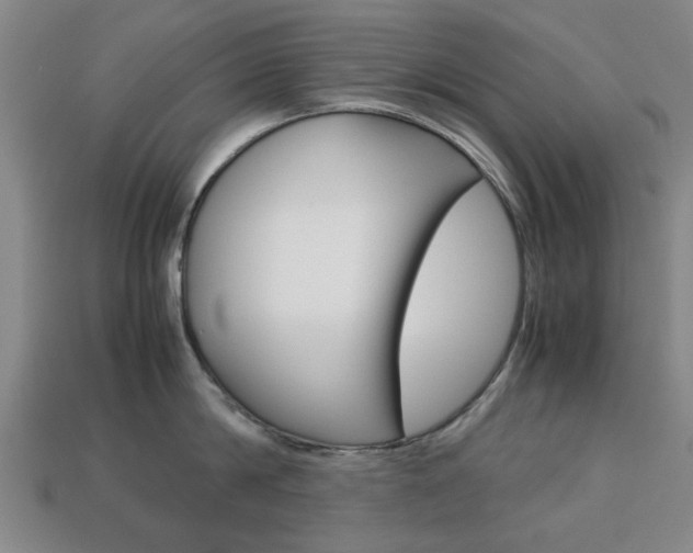 X0000113780814200909231040