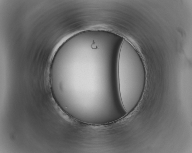 X0000113780816200909231039