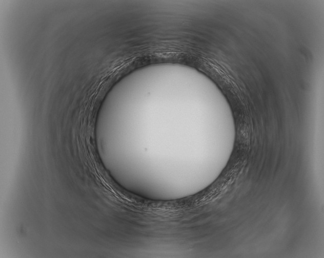 X0000113780817200909231039