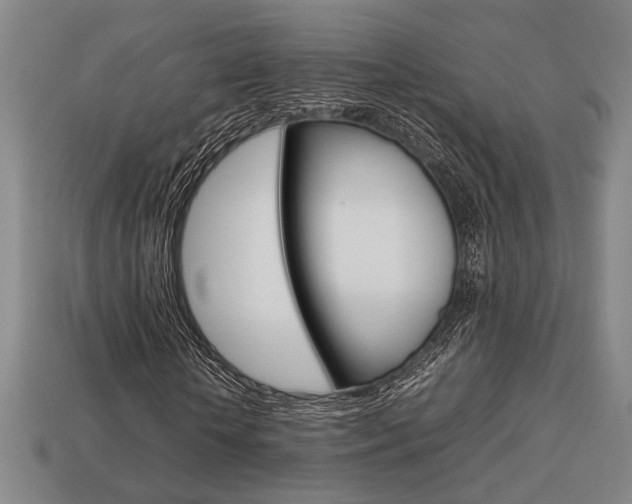 X0000113780818200909231039