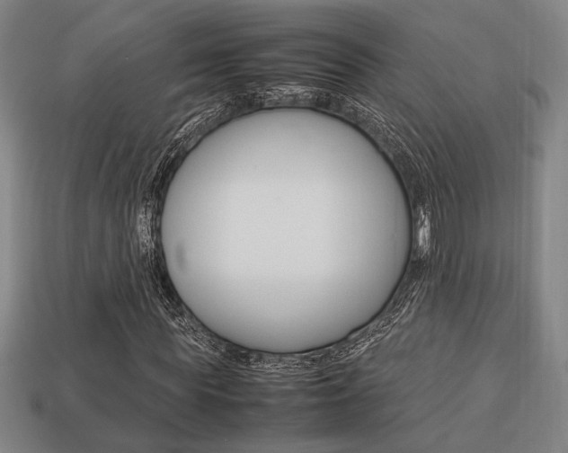 X0000113780819200909231039