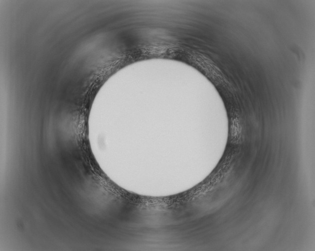 X0000113780820200909231039
