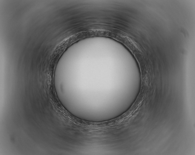 X0000113780821200909231039
