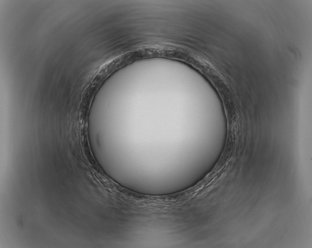 X0000113780822200909231039