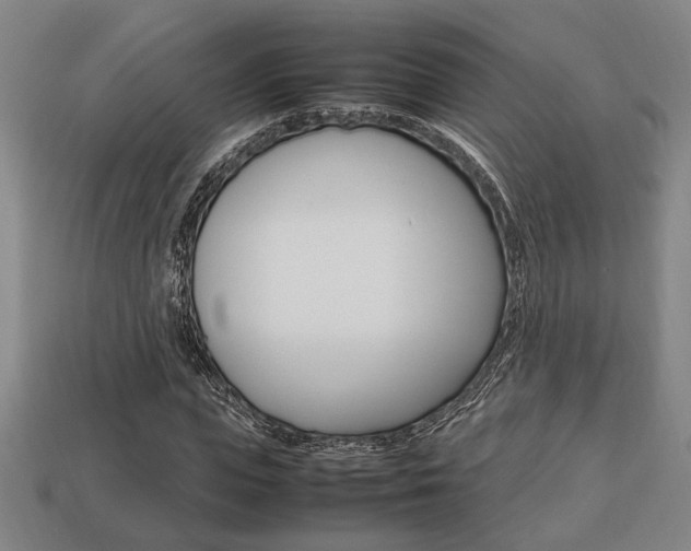 X0000113780823200909231039