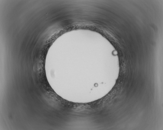 X0000113780824200909231039