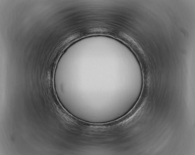 X0000113780825200909231039