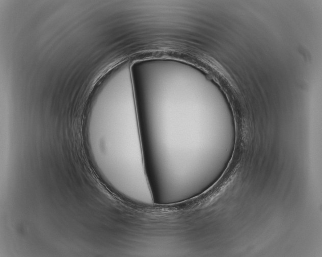 X0000113780826200909231039