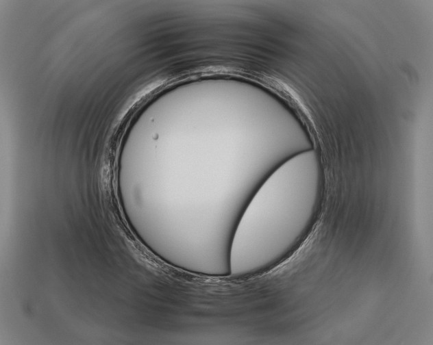 X0000113780827200909231039