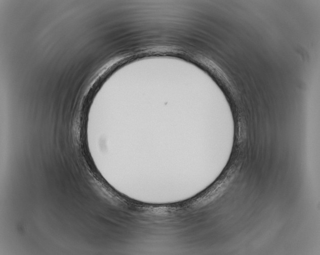 X0000113780828200909231039