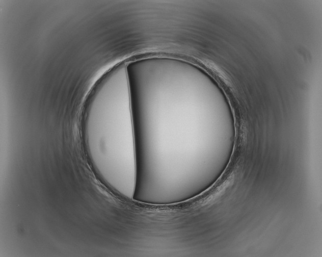 X0000113780830200909231039