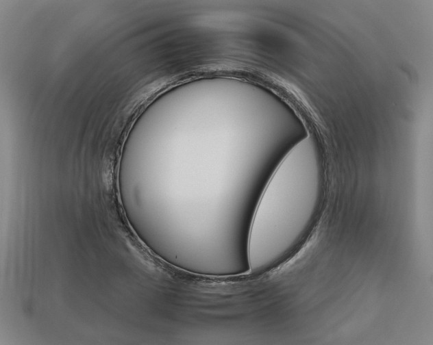 X0000113780833200909231039