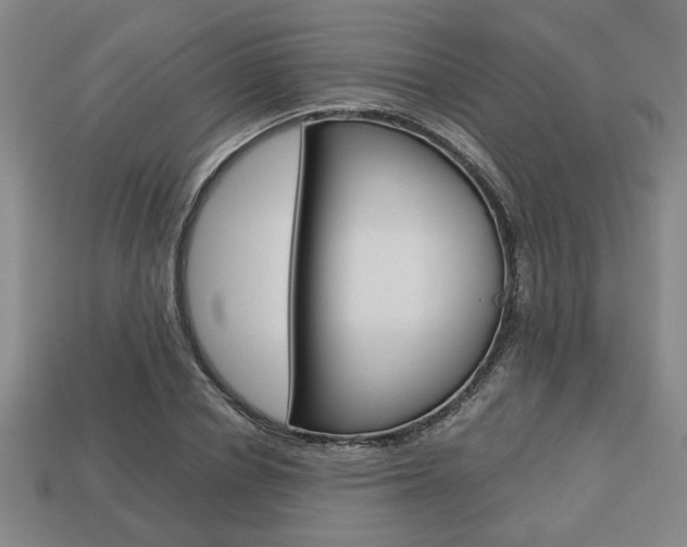 X0000113780834200909231039