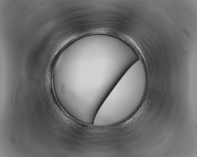 X0000113780835200909231039