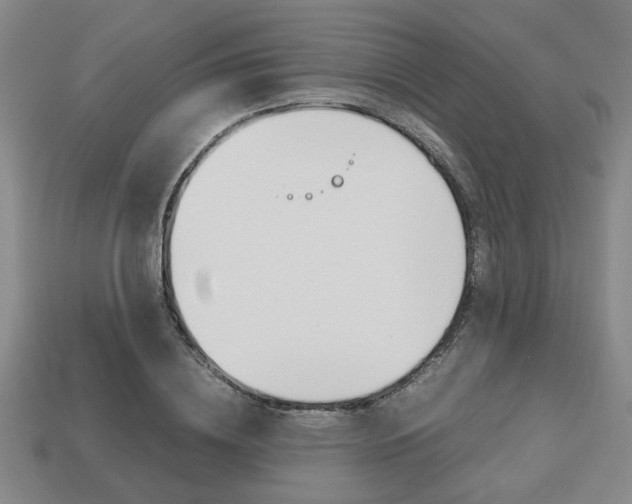 X0000113780836200909231039