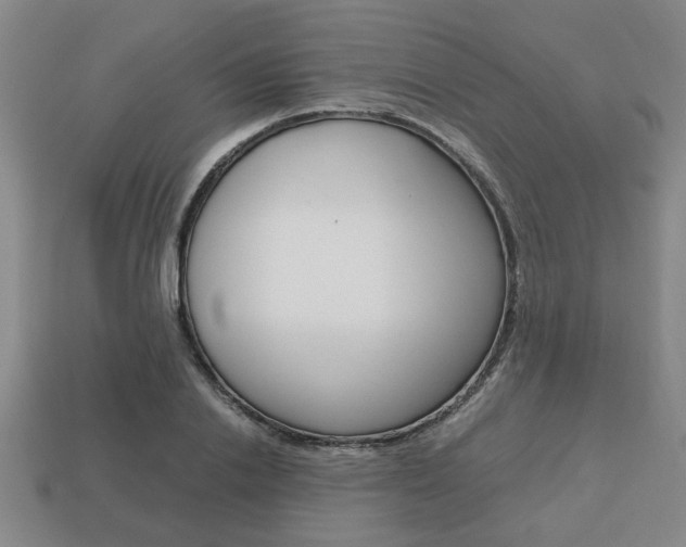X0000113780838200909231039