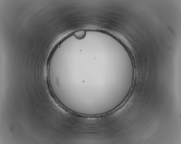 X0000113780839200909231039