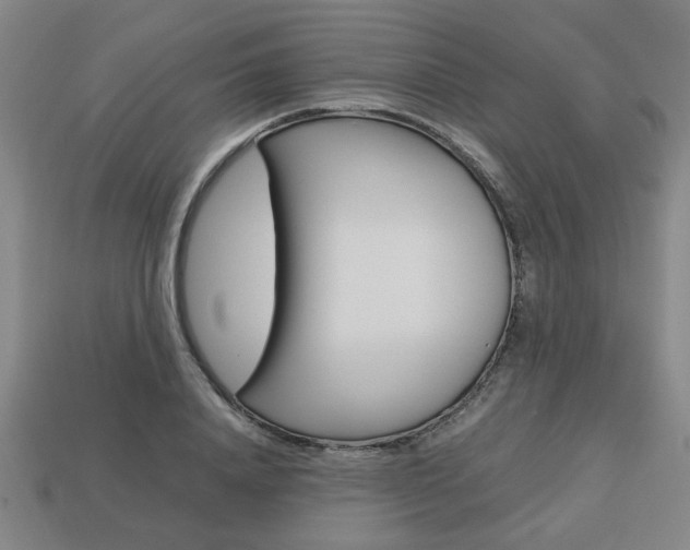X0000113780840200909231039