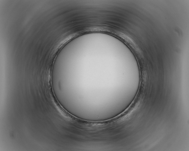 X0000113780841200909231039