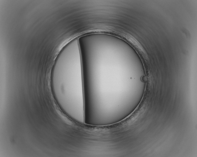 X0000113780842200909231039