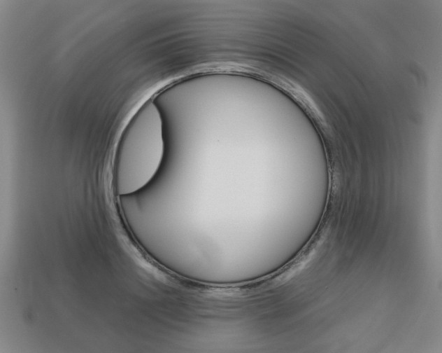 X0000113780844200909231039