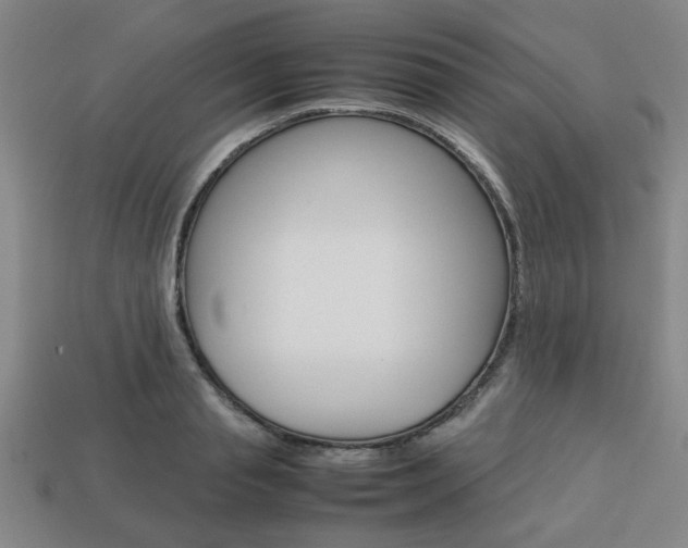 X0000113780845200909231039