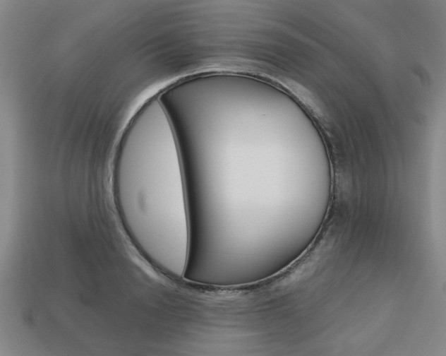 X0000113780846200909231039