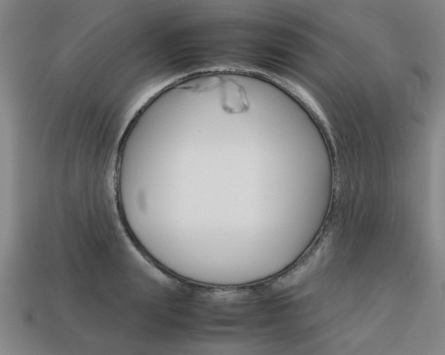 X0000113780847200909231039