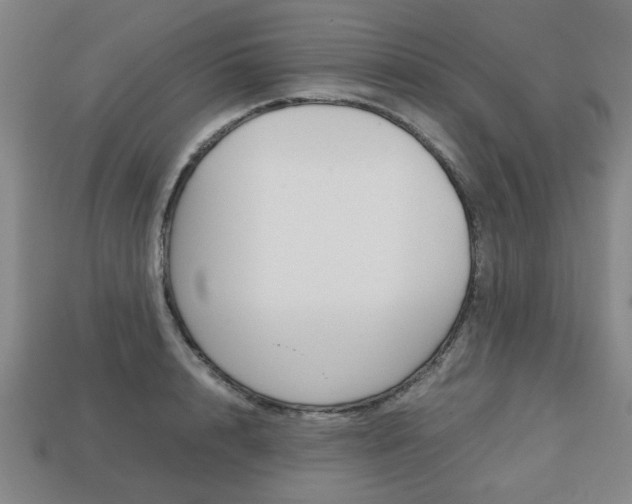 X0000113780848200909231039