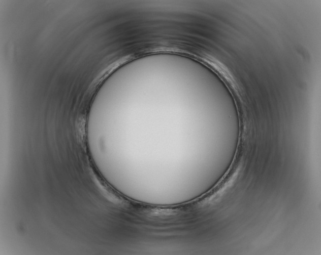 X0000113780849200909231039