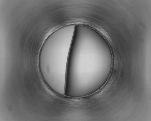 X0000113780850200909231039