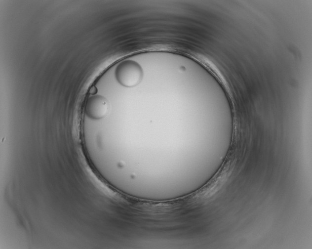 X0000113780851200909231039