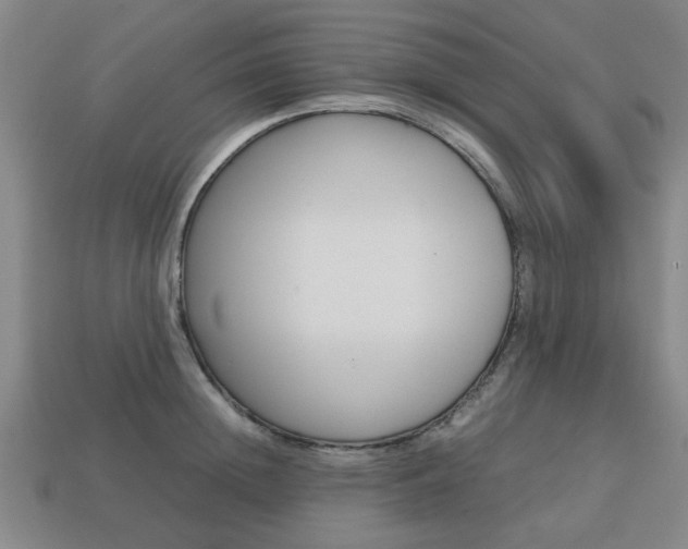 X0000113780852200909231039