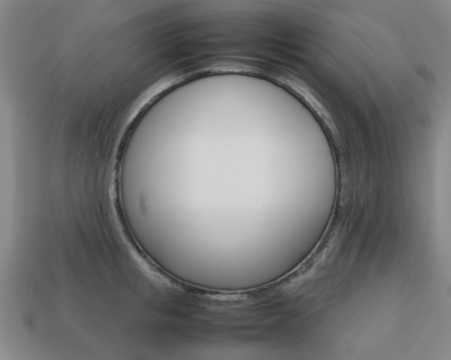 X0000113780853200909231039