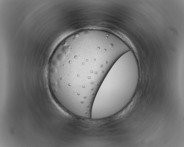 X0000113780855200909231039