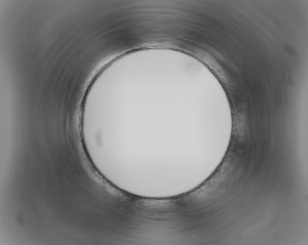 X0000113780856200909231039