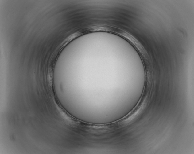 X0000113780857200909231039
