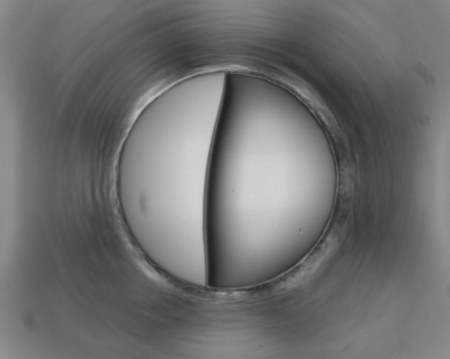 X0000113780858200909231039