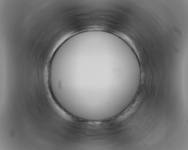 X0000113780859200909231039