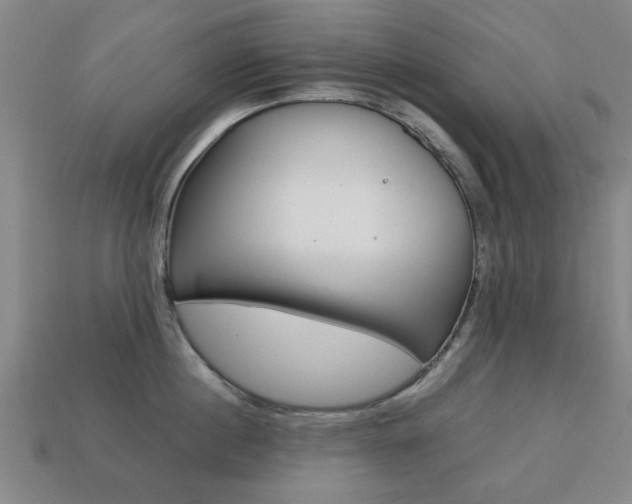 X0000113780860200909231039
