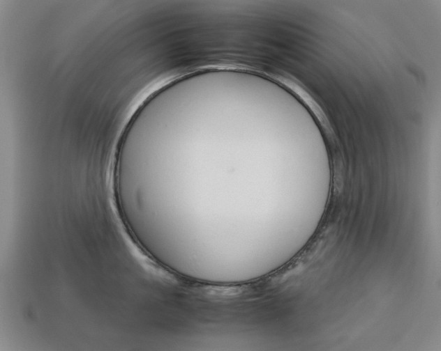 X0000113780861200909231039
