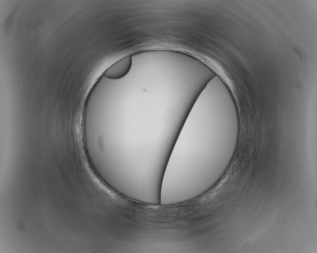 X0000113780863200909231039
