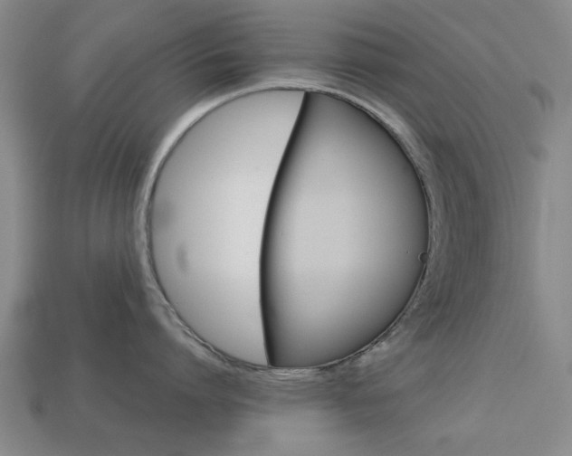 X0000113780864200909231039