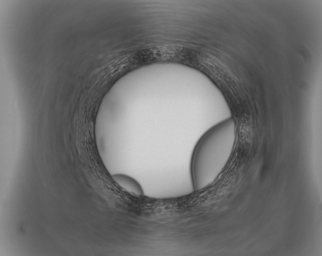 X0000113780865200909231039