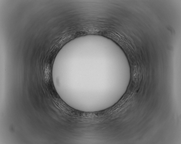 X0000113780866200909231039